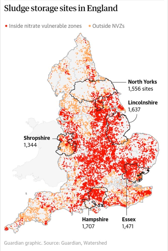 Map of sewage sludge storage sites in England. Red dots mark stores located inside Nitrate Vulnerable Zones (NVZs) - areas where soils are so saturated with nitrates they cannot absorb additional nitrate from fertiliser, including sewage sludge. Stores are normally located close to where they're used, which indicates sludge is being applied in NVZs. When nitrate is added to saturated soils, it washes off during rain into rivers. When rivers contain too much nitrate or phosphate, this can feed algae, either in the river, or once the water flows out to sea - increasing risk of algal blooms. When the algae grow too much, too fast, they block out light and air in the water causing aquatic creatures like fish to weaken or die. This, in turn, deprives birds & animals that feed on fish or insects from the water, to go hungry. Some algae can be toxic to humans and animals.