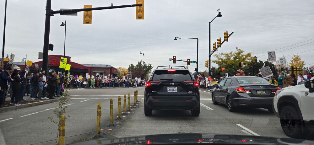 Protestors lining the street holding signs for the No Kings demonstration. 