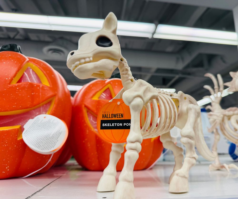 “Skeleton” “pony” with the face of, I don’t know, a chihuahua with human dentures, bony ears, and a BONE TAIL. Happy spooky season!