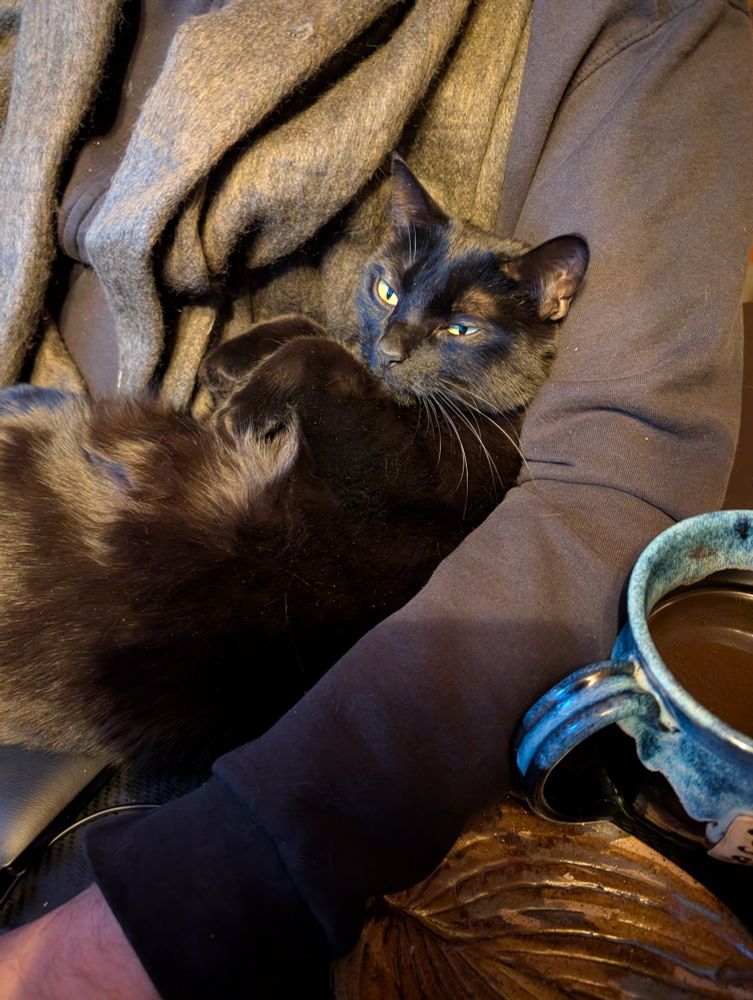 A small black cat laying on her back in the crook of a man's black clad arm, front paws held up. 
