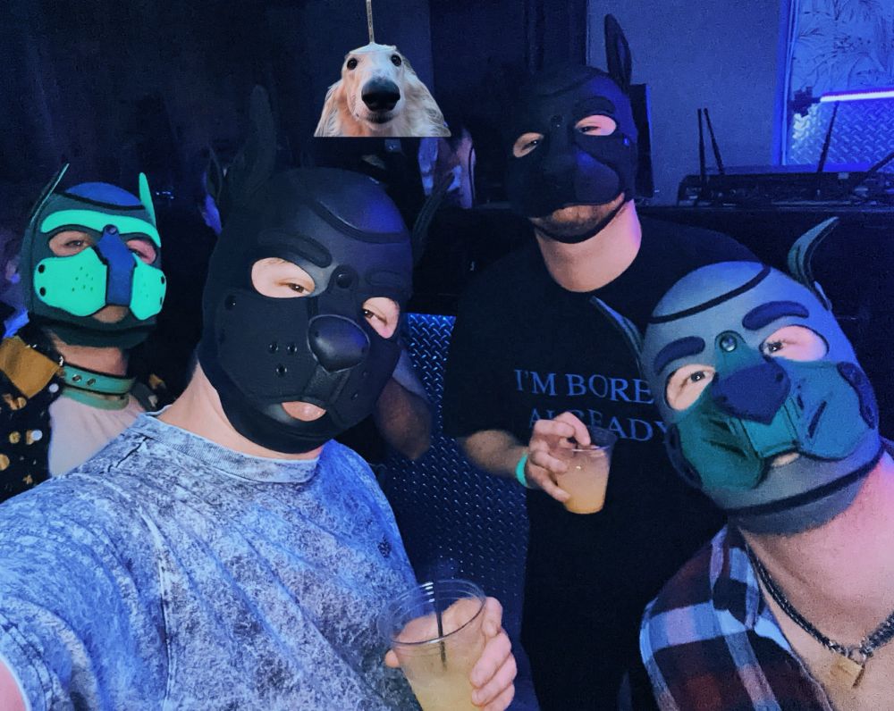 Selfie of 4 men wearing pup hoods in a club, behind them is the DJ with his face obscured by a picture of a borzoi 