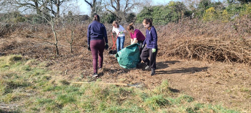 Hampton Heath Friends collecting the cut brambles