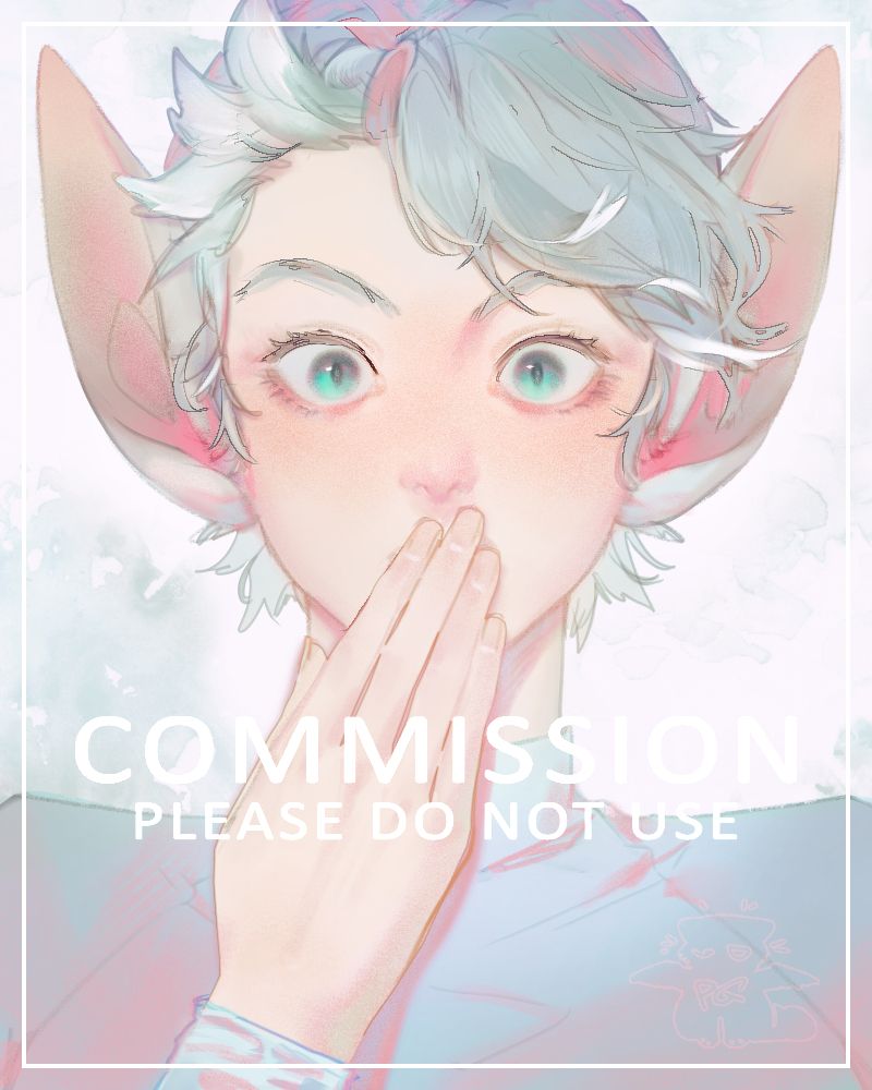 portrait commission