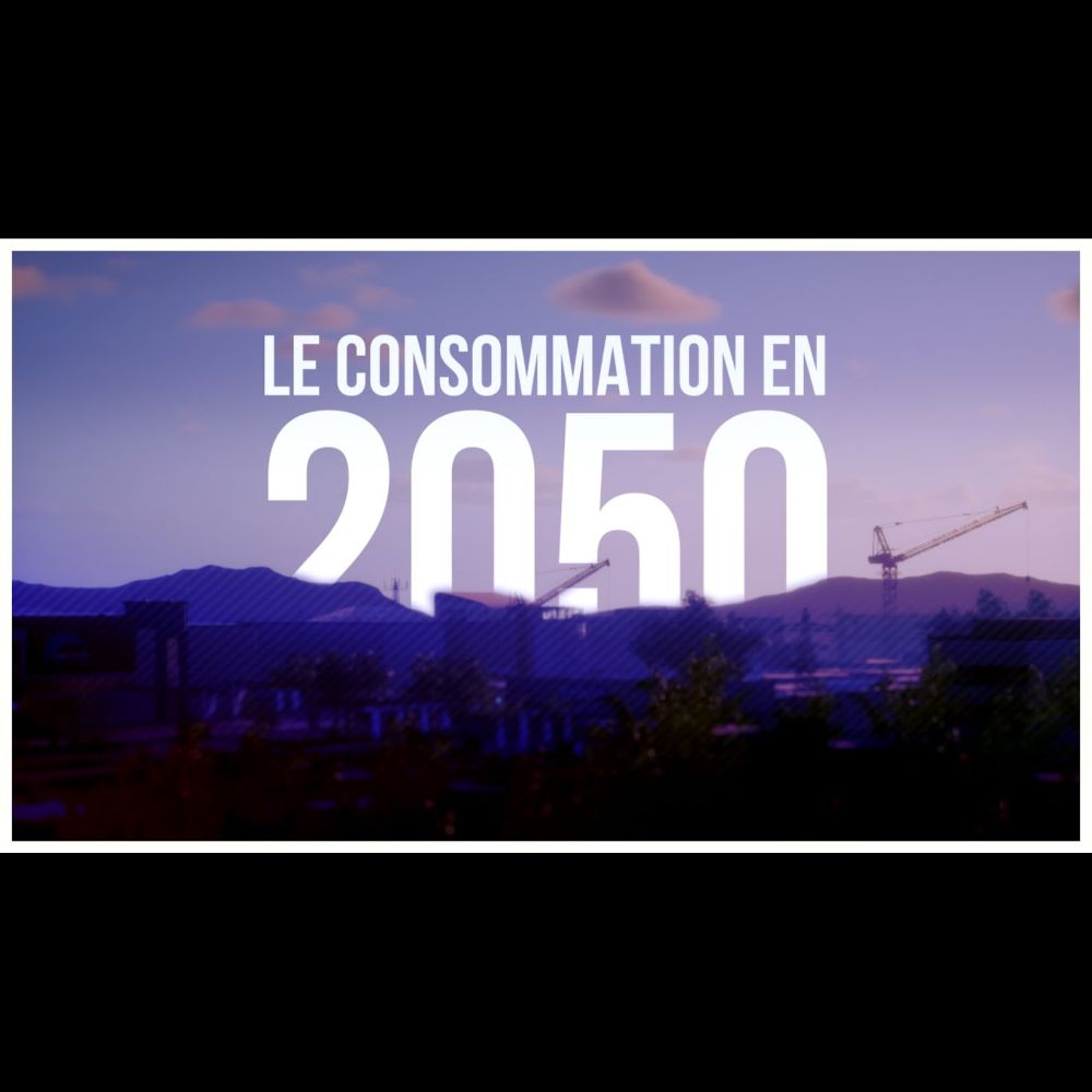 2050 : Les conséquences de la fin de "l'abondance"