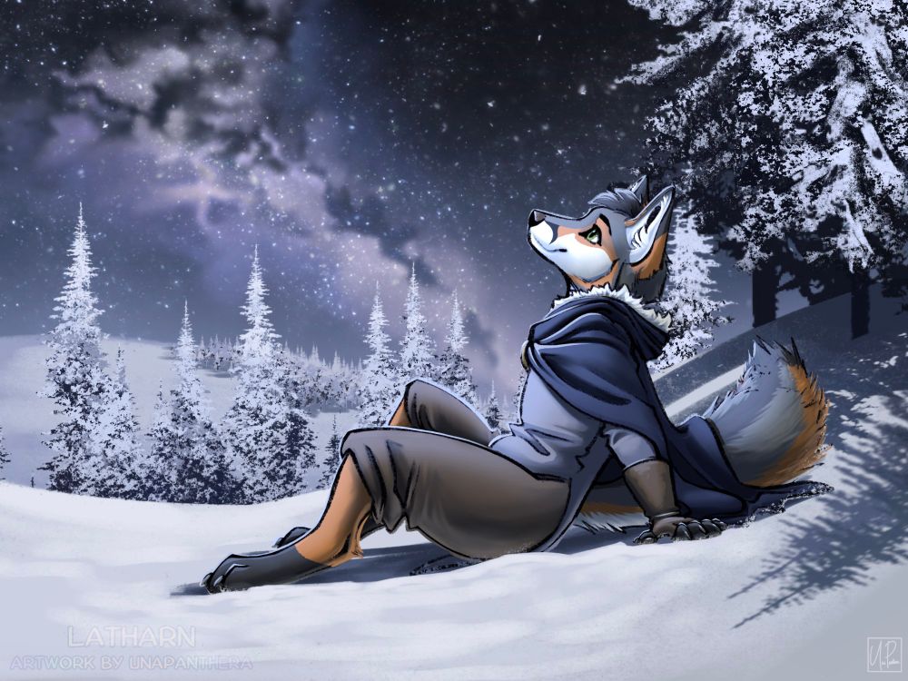An antropomorphic grey fox is sitting on the snowy ground, looking up into the night sky full of stars. He's wearing short brown trousers, a light grey jacket, a dark blue cloak with a hood trimmed with white fur and brown fingerless gloves. There are snowed in pines standing behind him and in the background.