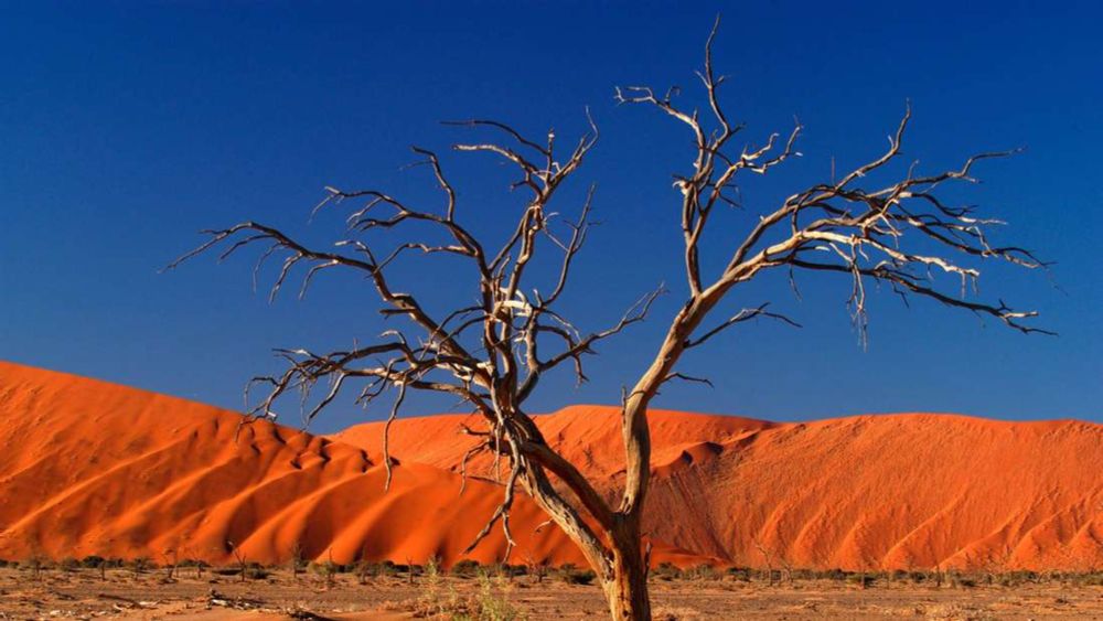 Soziologe Jens Beckert: „Die Klimapolitik ist ein Skandal. Wir haben nur diese eine Welt“