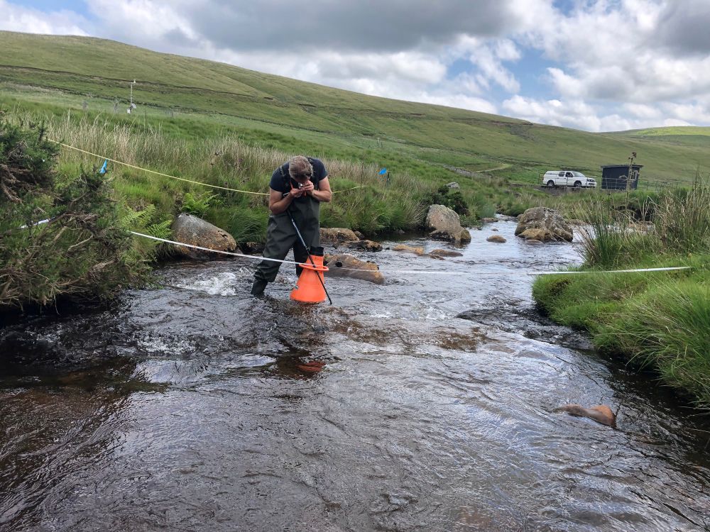 Afon Gwy (River Wye) headwaters in Wales
