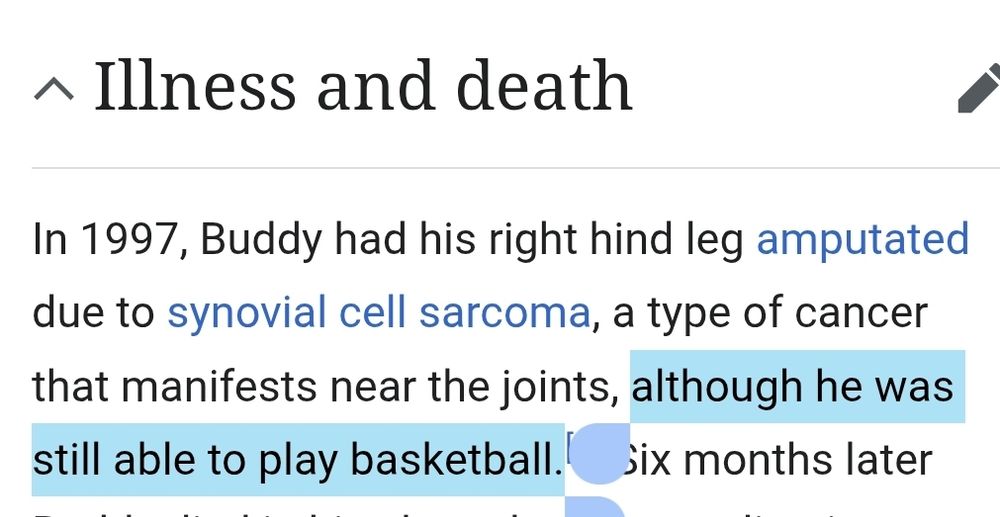 In 1997, Buddy had his right hind leg amputated due to synovial cell sarcoma, a type of cancer that manifests near the joints, although he was still able to play basketball.