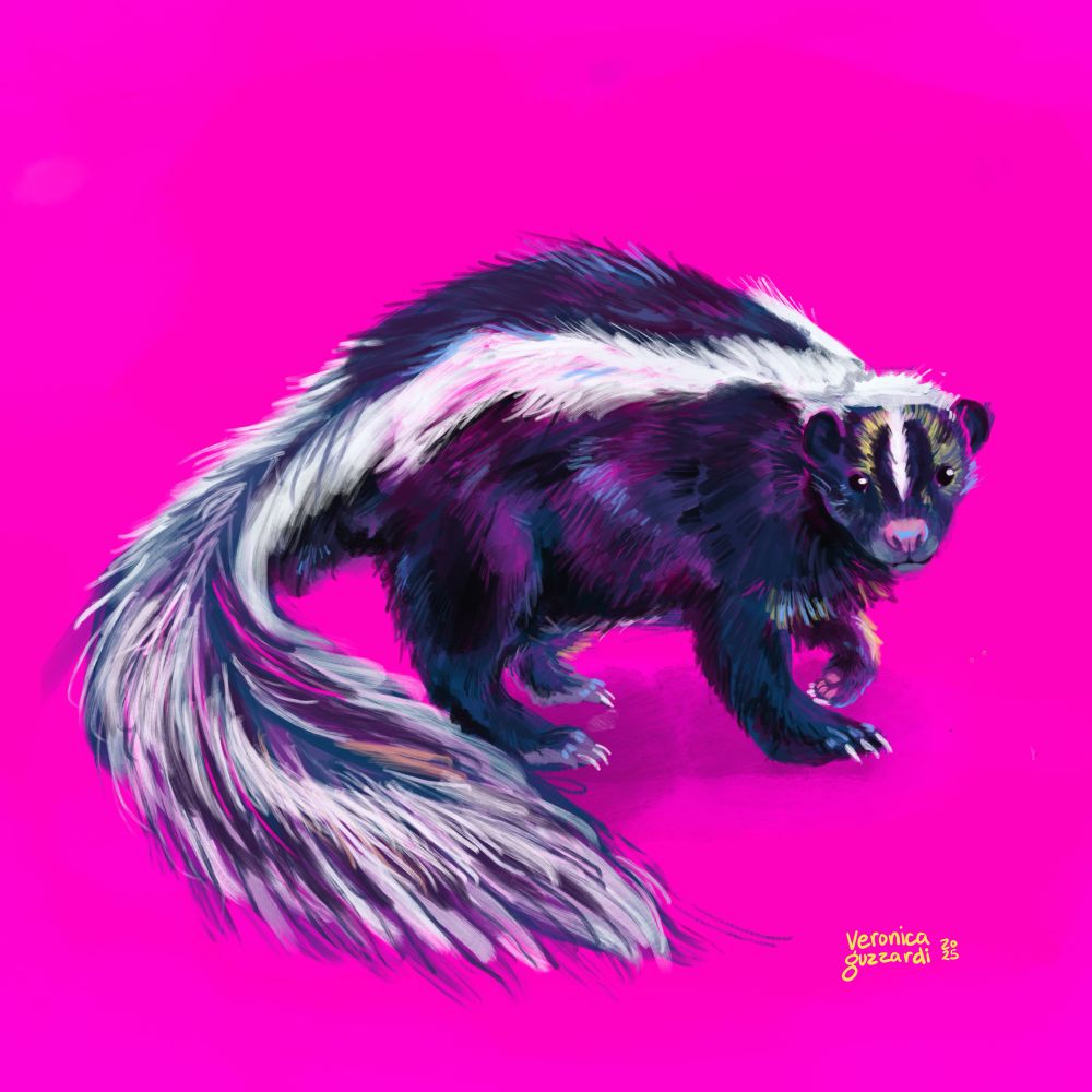 Digital painting of a skunk on a pink background 