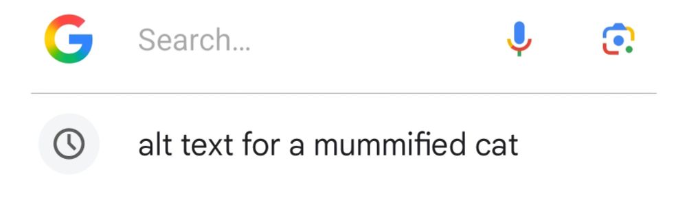 Google search for 'alt text for a mummified cat' 