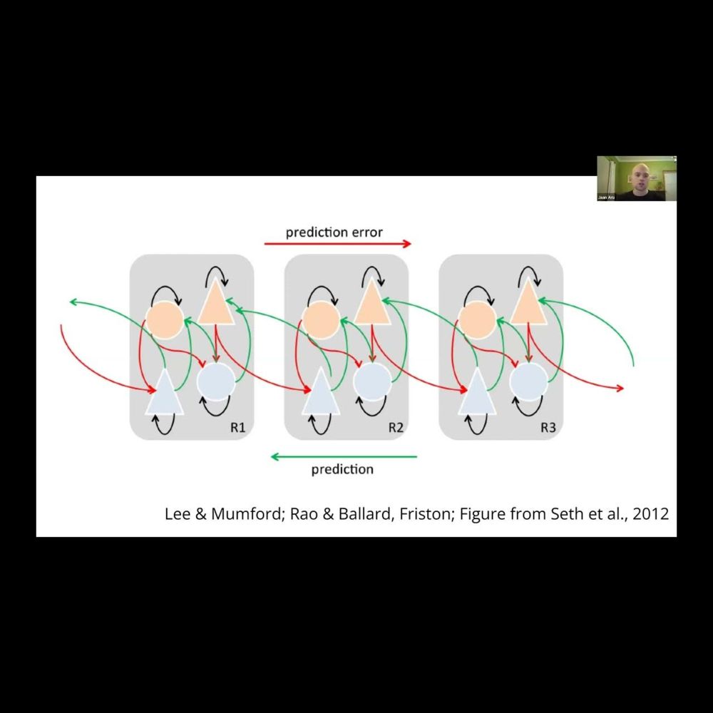 How deep is the brain? The shallow brain hypothesis with Jaan Aru