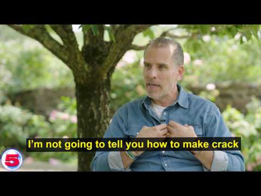 Hunter Biden Interview