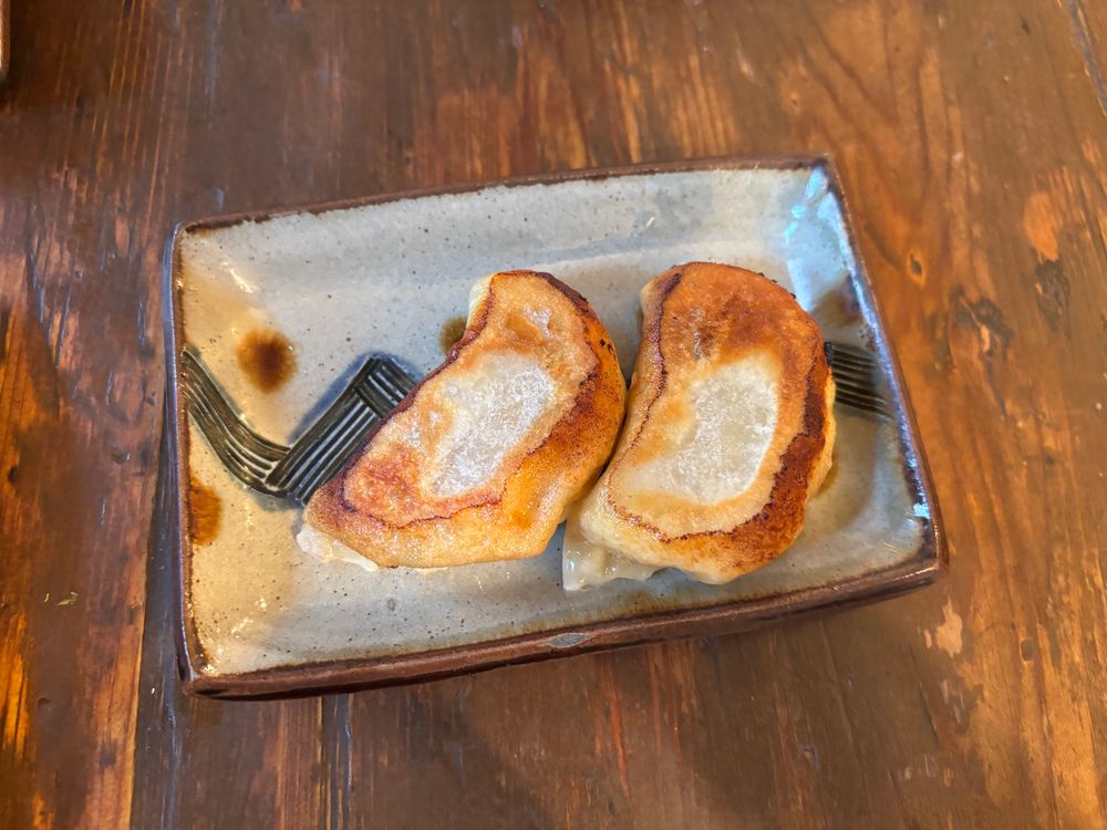 焼き餃子2つが長方形の皿の上にのっている