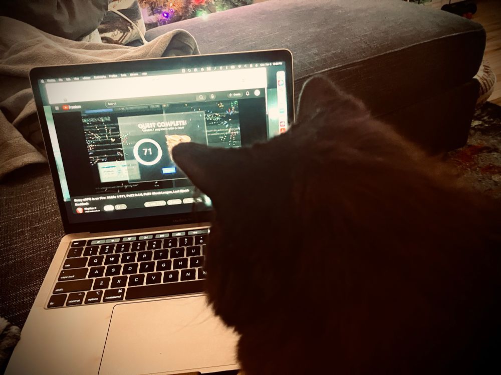 Black cat watch lap top screen