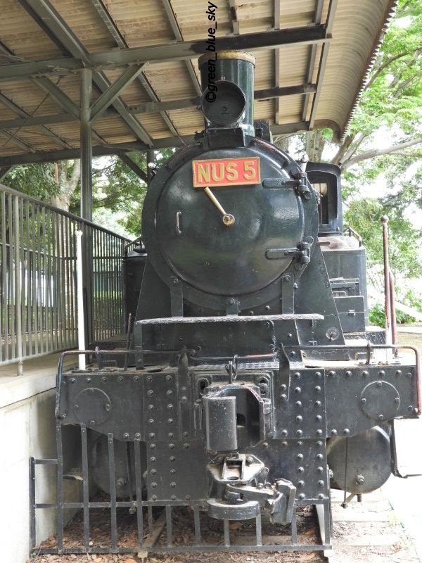 千葉公園の機関車