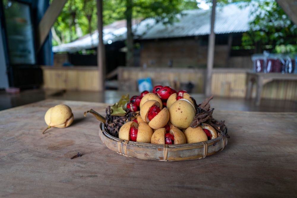 Basket of yellow nutmeg fruit whose seed is surround by red mace