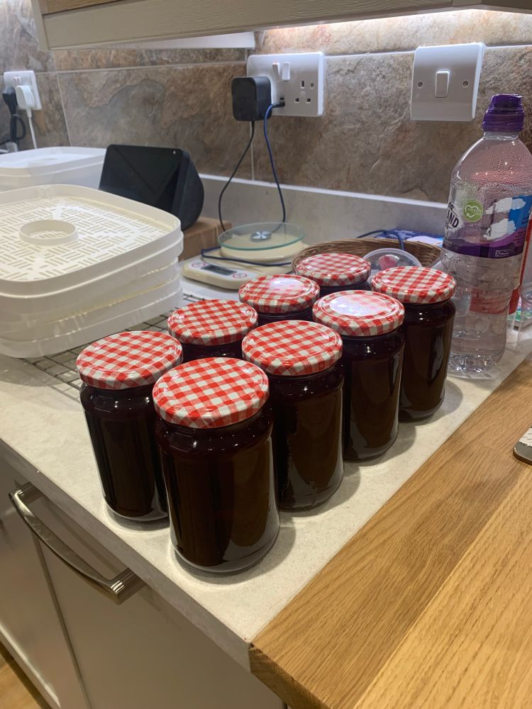 Damson or wild plum jam, 8 jars with red gingham tops. These are the posh new jars we bought because we mostly give the jam to my parents, and there’s no easy way of getting the jars back!