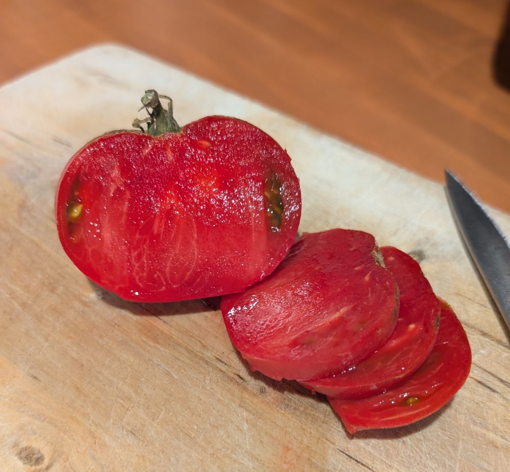 Bright red tomato, half sliced, few seeds, on a wood cutting board on a wood counter. Knife next to the tomato. 