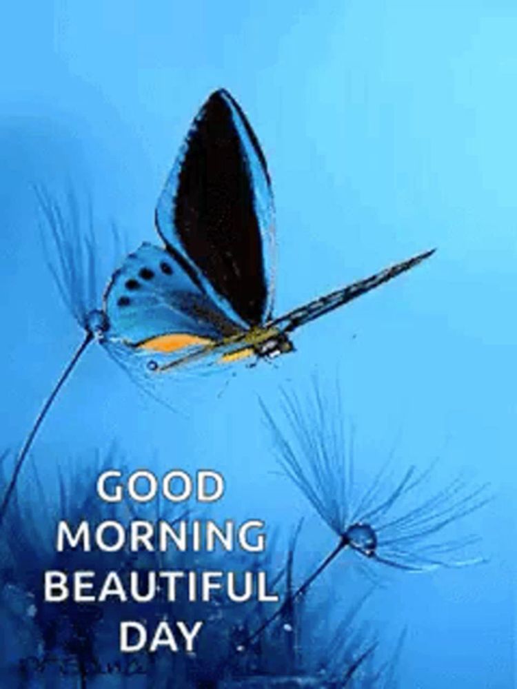 a butterfly is flying over a dandelion on a blue background with the words `` good morning beautiful day '' .