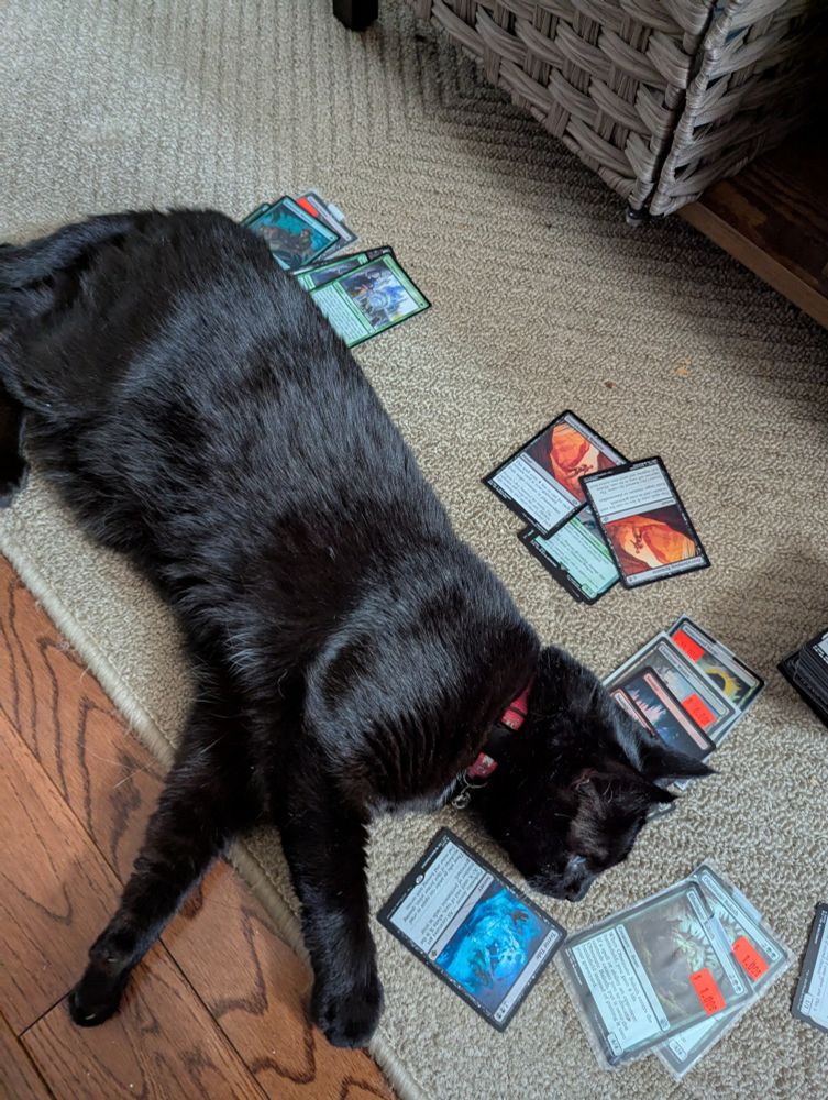 A black cat laying on a pile of Magic the Gathering cards (the deck is golgari self mill)