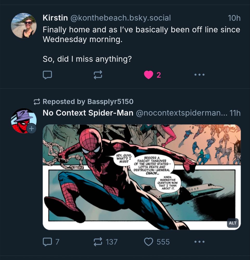 Screenshot of two posts on Bluesky. The first says "Finally home and as I've basically been off line since Wednesday morning

 So did I miss anything?"

The skeet below it is a panel from a Spider-Man comic, with Spider-Man in an action pose, saying "Hey guys, what did I miss? Besides a fascist takeover of the US - lotta death and destruction - general chaos... Kinda insensitive question now that I think about it."