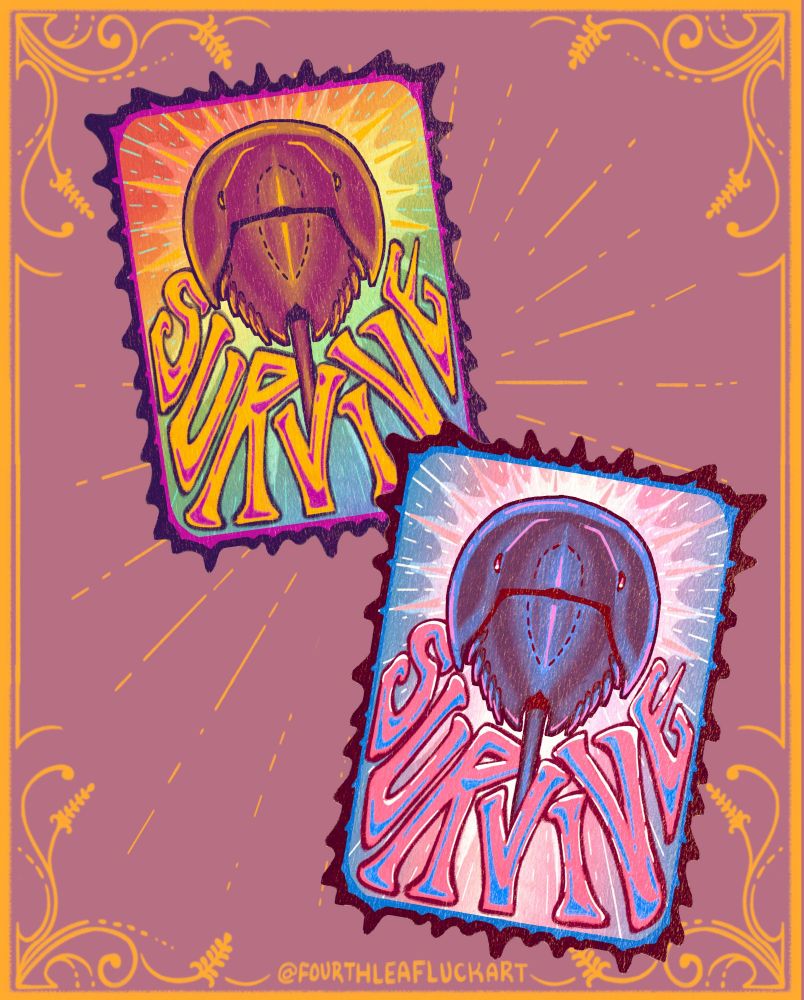 two color variants of a sticker that has a horseshoe crab and says "Survive". Sticker 1 has a rainbow background and yellow text. Sticker 2 has trans pride colored background and light pink text.