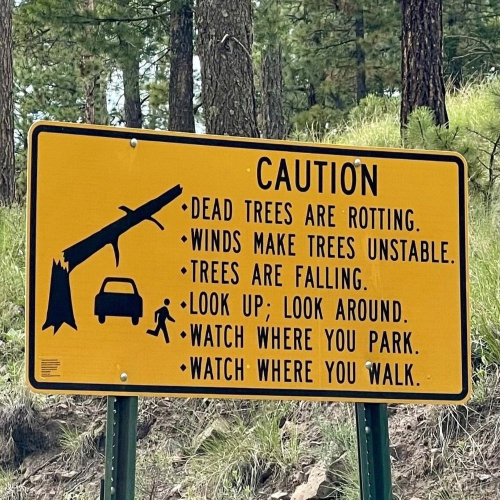 A sign with a picture of a snapped tree falling onto a car which reads: CAUTION
-Dead trees are rotting
- Wings make trees unstable
-Trees are falling
-Look up; look around
- Watch where you park
-Watch where you walk