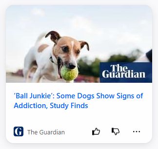 pocket article from the guardian: "'Ball Junkie': Some Dogs Show Signs of Addiction, Study Finds"; illo: a medium-sized dog with a tennis ball in its mouth
