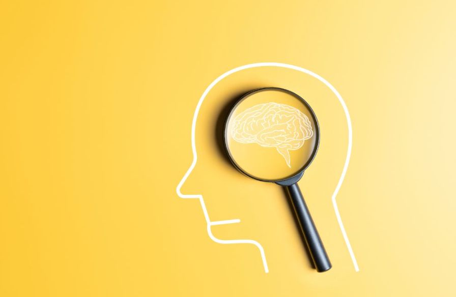 simple flat illustration of a human head with brain visible inside. a magnifying glass sits on top of the picture, with the lens placed over the brain.
