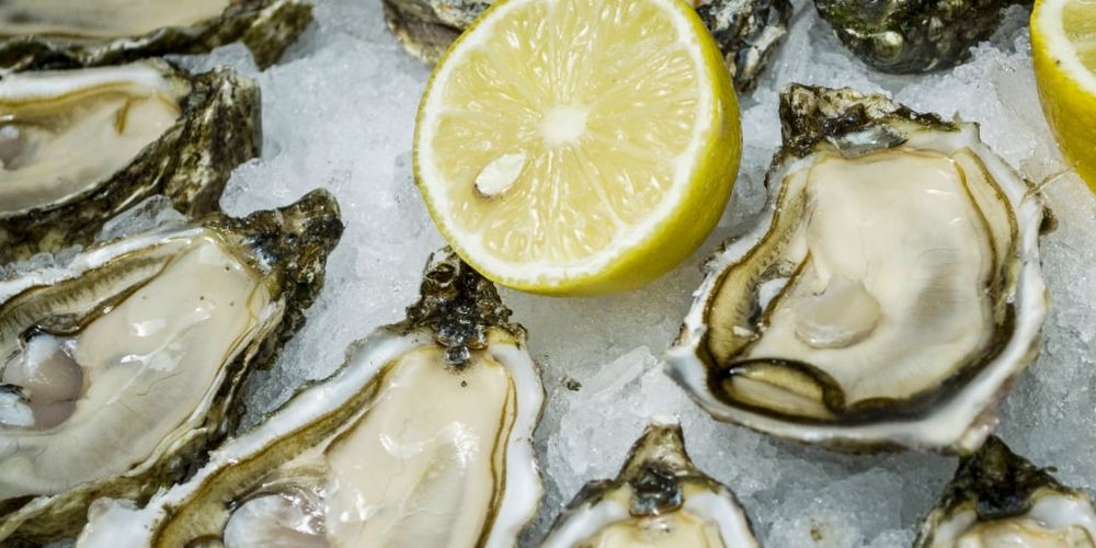 raw oysters on ice, with lemon.