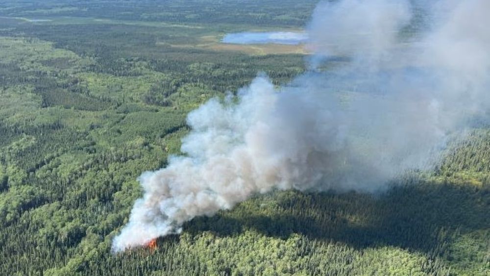 A wildfire in the forested area around Lac La Biche, Alta., about 220 kilometres northeast of Edmonton, was discovered on Thursday and was classified as out of control. Five other wildfires were discovered in the area on the same day.