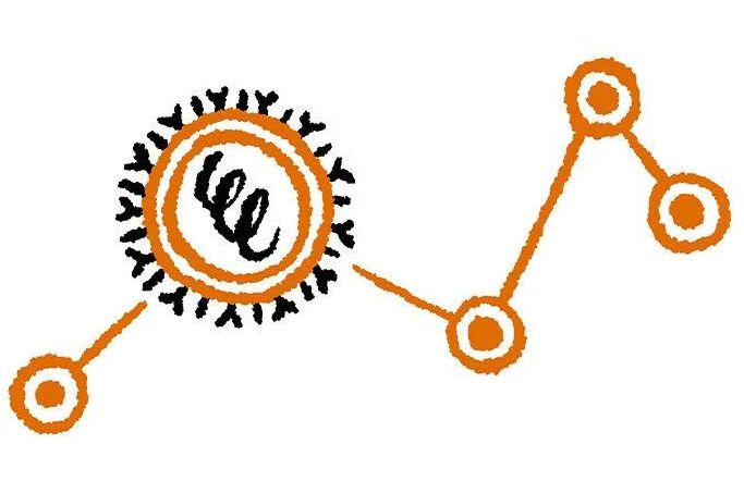 The image features a simple, hand-drawn illustration depicting a virus-like structure at the center, characterized by a circular shape with spikes around its perimeter. Inside the circle, there is a stylized representation of a double helix or spiral, suggesting genetic material. Connected to the virus are several orange circles and lines, forming a graph-like structure that indicates a trend or progression. The overall design uses a limited color palette of black and orange, creating a striking visual contrast. The illustration conveys a scientific theme, likely related to biology or virology.