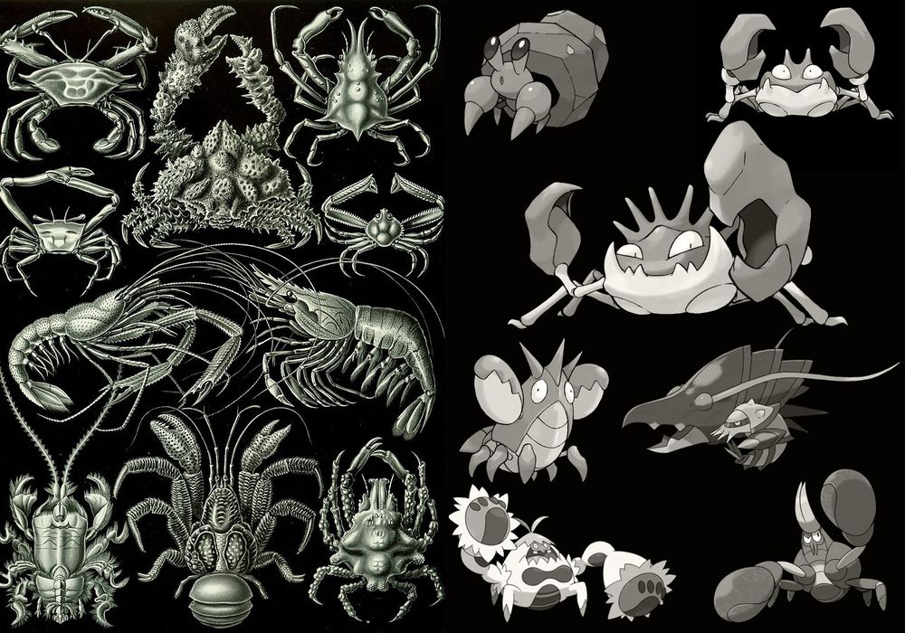 Naturalist-like figure showing real crustaceans alongside crustacean-inspired Pokémon.