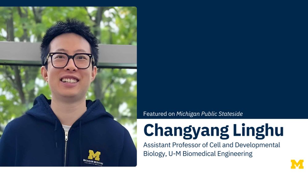 Changyang Linghu, Assistant Professor of Cell and Developmental Biology, U-M Biomedical Engineering, featured on Stateside 