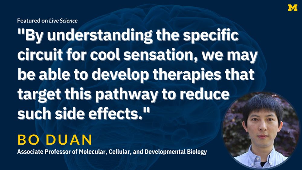 "By understanding the specific circuit for cool sensation, we may be able to develop therapies that target this pathway to reduce such side effects." Bo Duan, Associate Professor of Molecular, Cellular, and Developmental Biology, featured on Live Science 