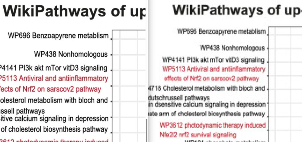 Screenshot from the blog post showing the publisher version of an image and the seriously degraded "archived" version in PubMed Central, where text is even by humans hard to read. The snippet of the image shown shows the names of a number of WikiPathways pathways, with WP-identifier and name.