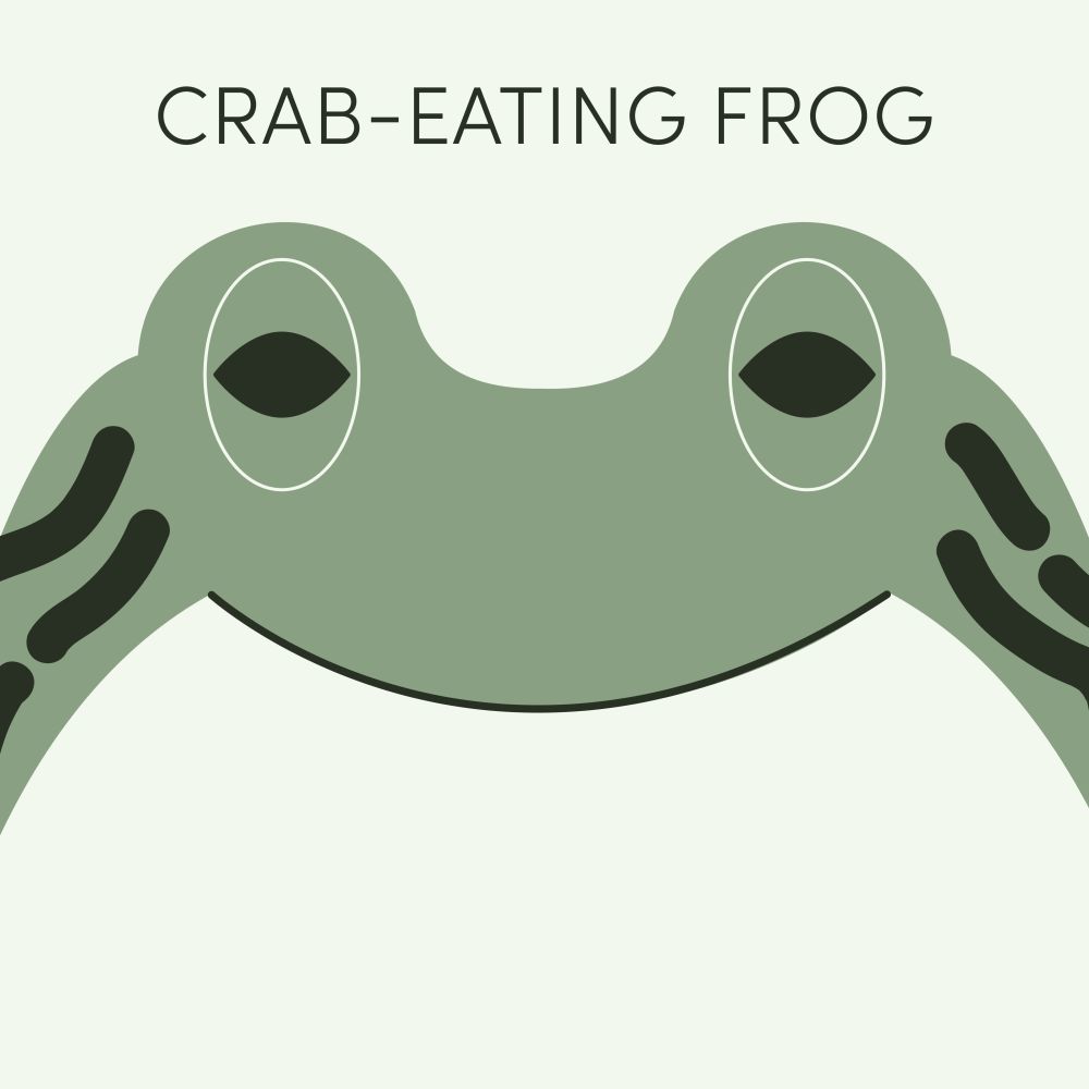 Episode art for Frog of the Week's "Crab-Eating Frog". The frog is green with matching eyes and dark blotches.