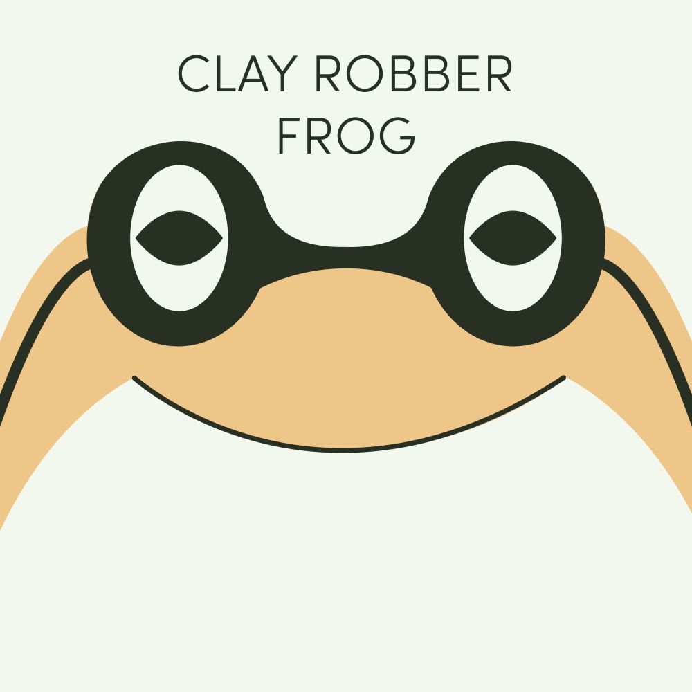Episode art for Frog of the Week's "Clay Robber Frog". The frog is yellow with a dark mask like a robber and stripes down either side of its body.