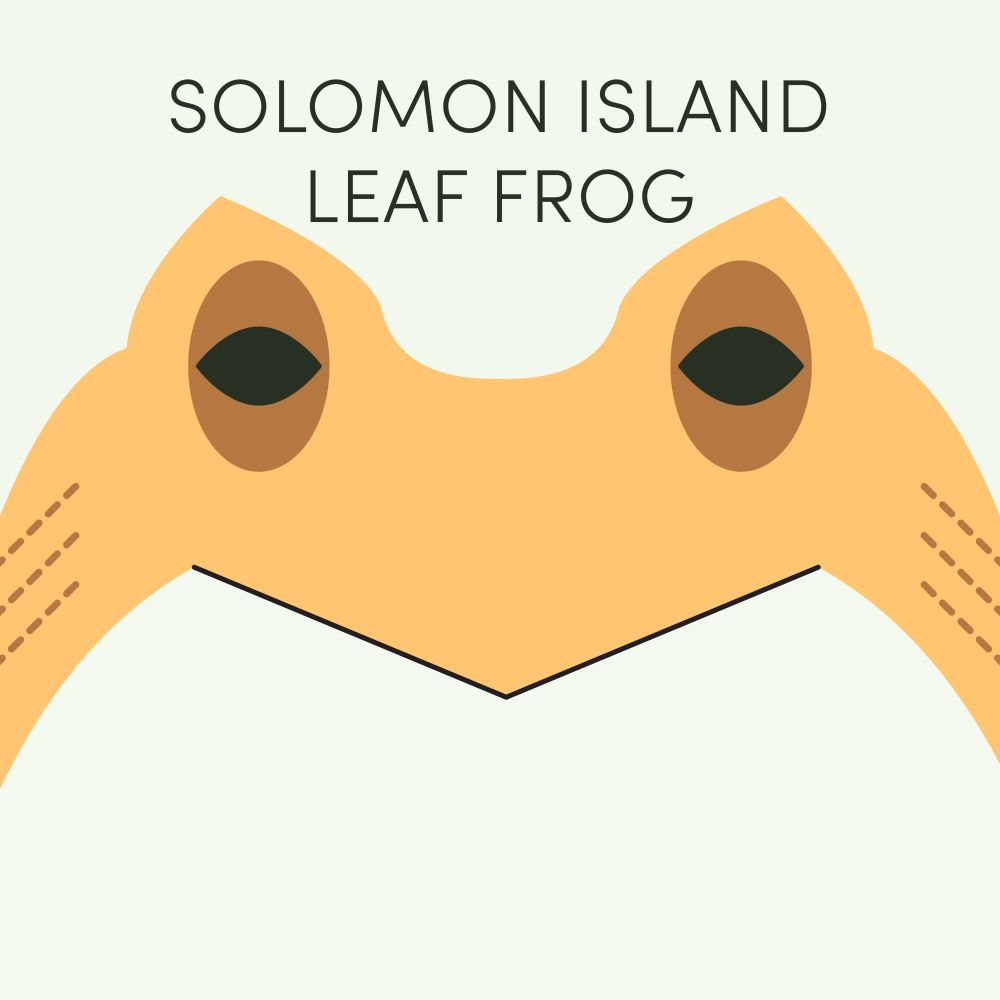 Episode art for Frog of the Week's Solomon Island Leaf Frog. The frog is yellow with pointy eyes, an angular mouth, and brown stripes.