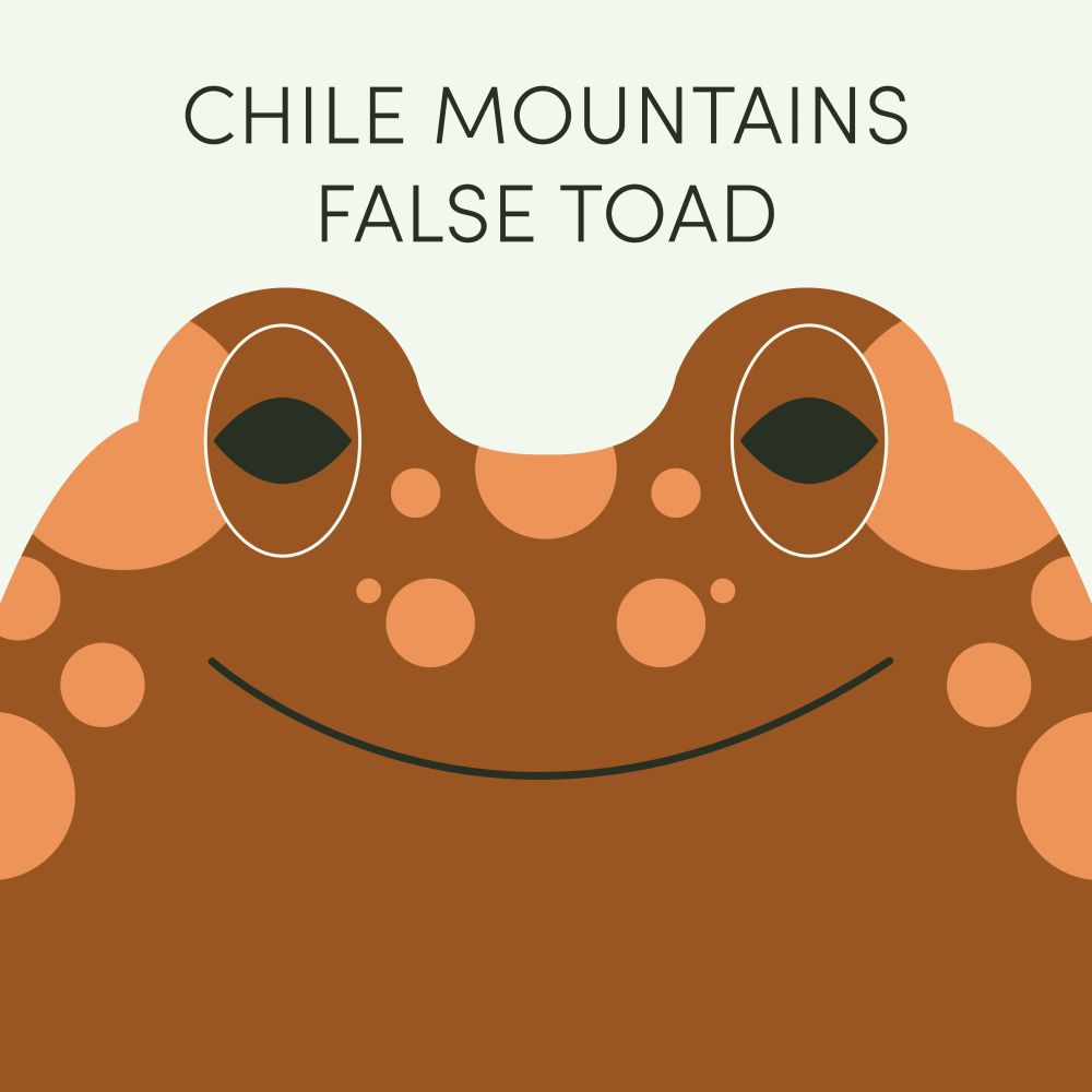 Episode art for Frog of the week's "Chile Mountains False Toad". The frog is brown with orange spots and matching brown eyes, and it is indeed a frog. Not a toad.