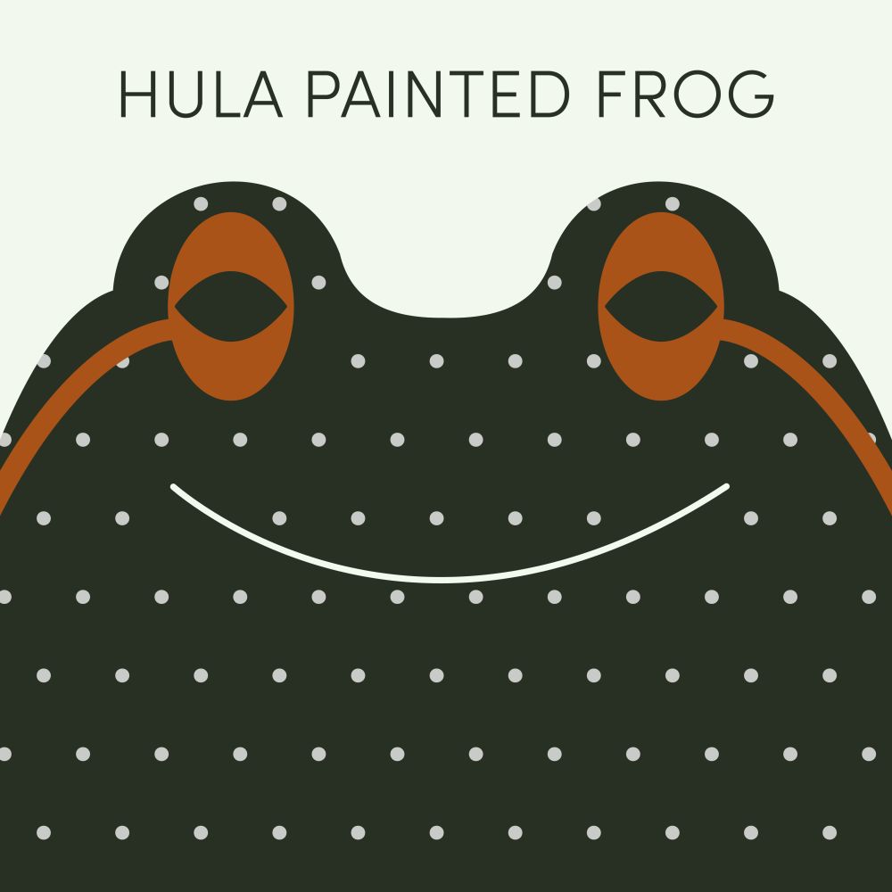 Episode art for Frog of the Week's Hula Painted Frog. The frog is black with light polka dot spots, dark brown eyes, and two brown stripes down its sides.
