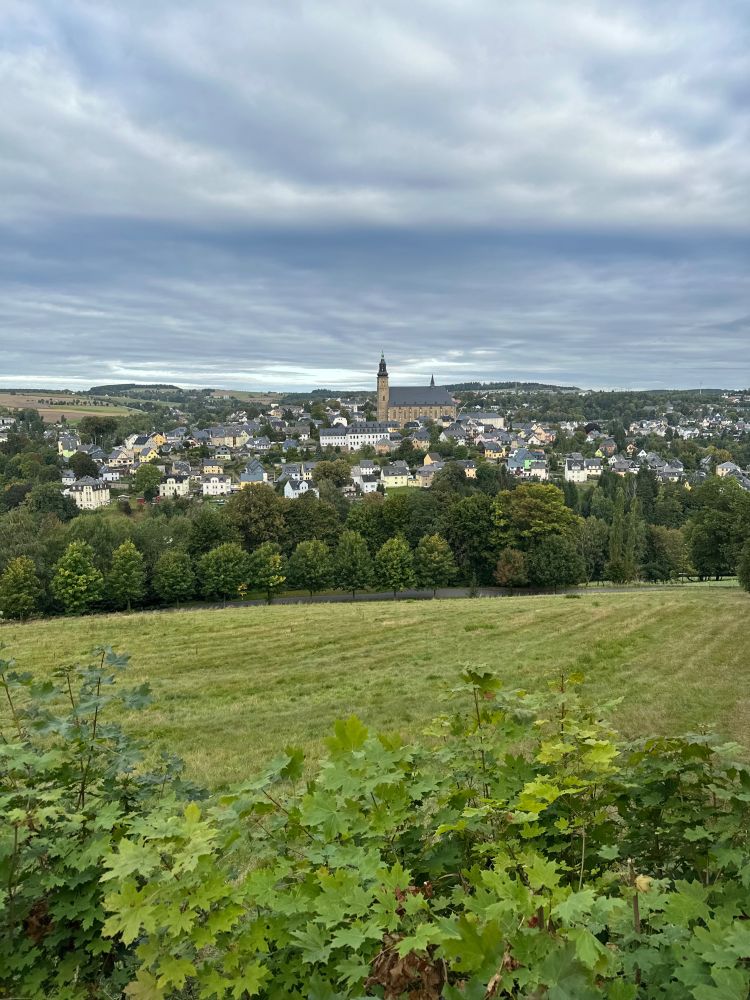 Blick vom Gleesberg auf Schneeberg/ Erz., und die alles überragende St.-Wolfgangs-Kirche, ein Bau aus der Spätgotik. Im Vordergrund Bäume, Sträucher und Rasen. Wolkenverhangener Himmel 