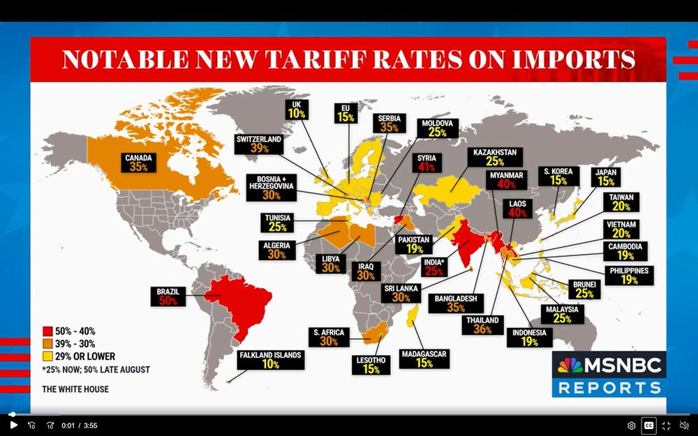 US tariff rate map of how much we are paying per country.  Also known as Trump rips off the US people map. 