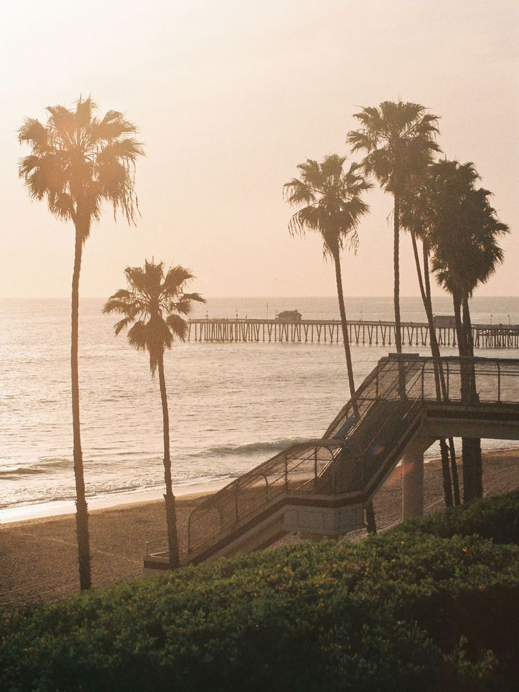 Palm trees and view of the beach in San Clemente, Orange County, California