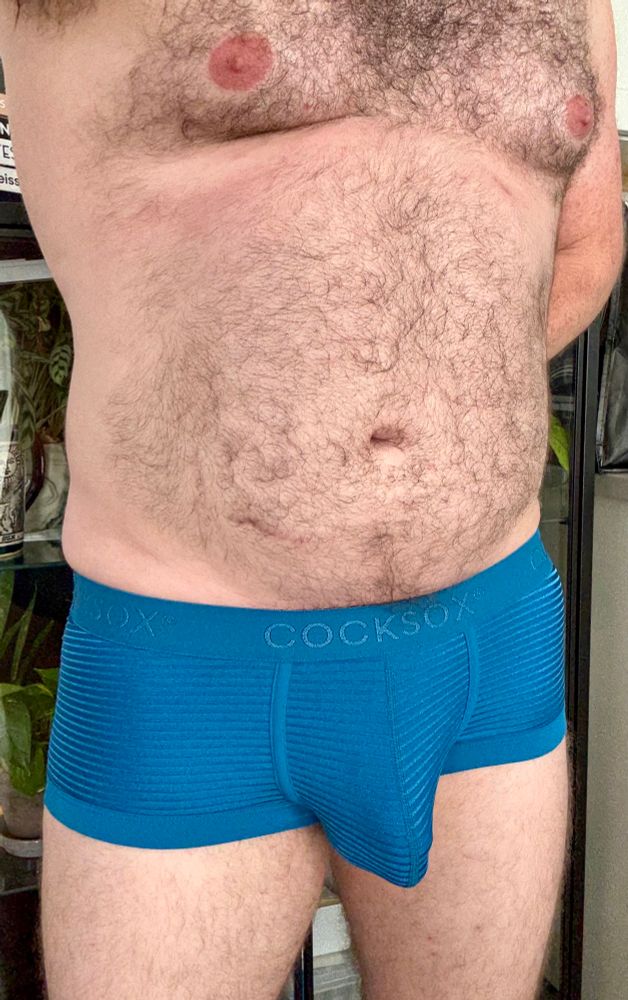 NSFW- hairy tummy and underwear bulge