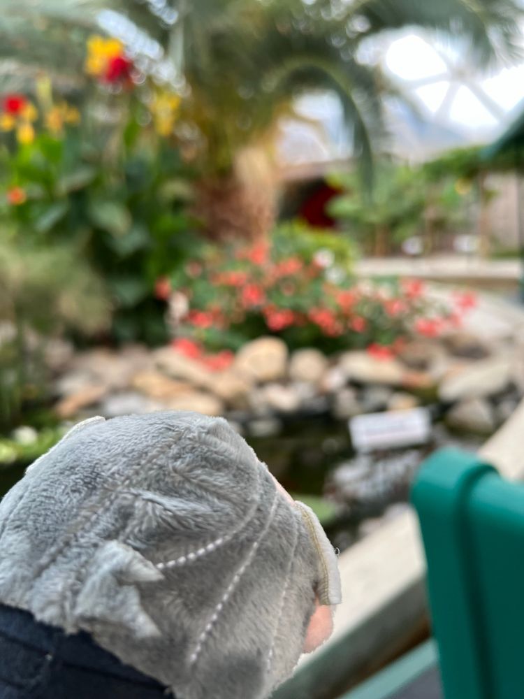 Tsum tsum Izzy riding Living with the Land. 