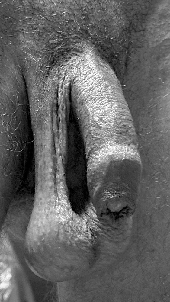 A black and white close-up photo : my sleepy uncut cock and my low hanging balls, because it's warm. Who wants to play with my foreskin ?