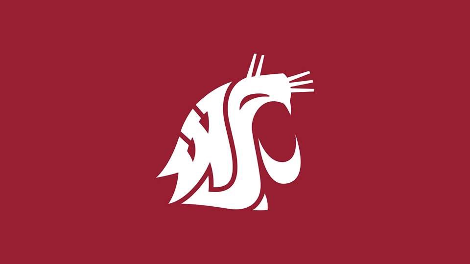 Crimson horizontal graphic with white W S U spirit head logo in the center 