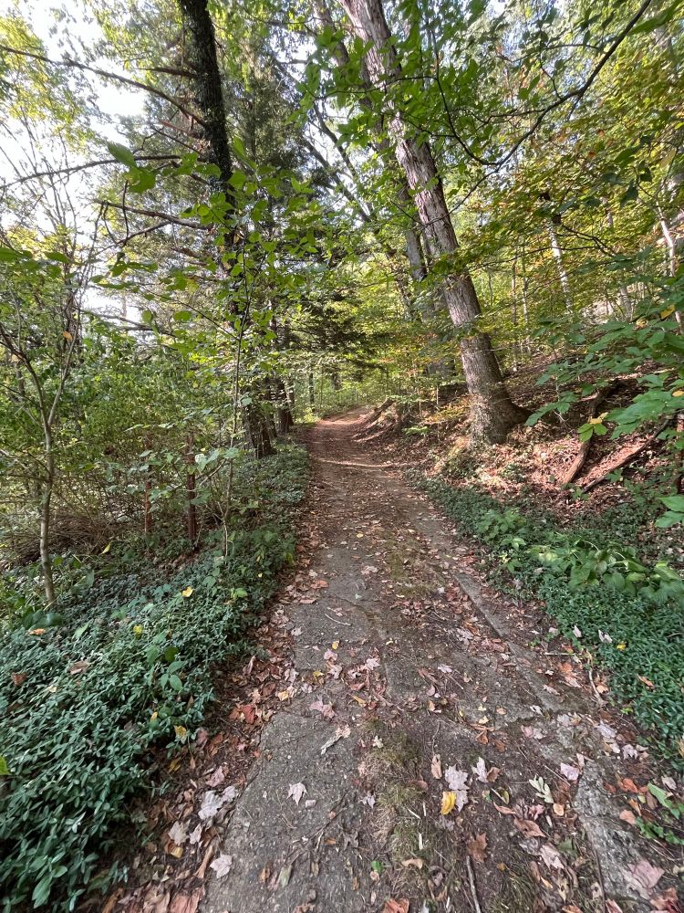 Path through a heavily wooded area leads up a steep incline. There's a deep ravine to the left and a hill with big boulders on it to the right. 
