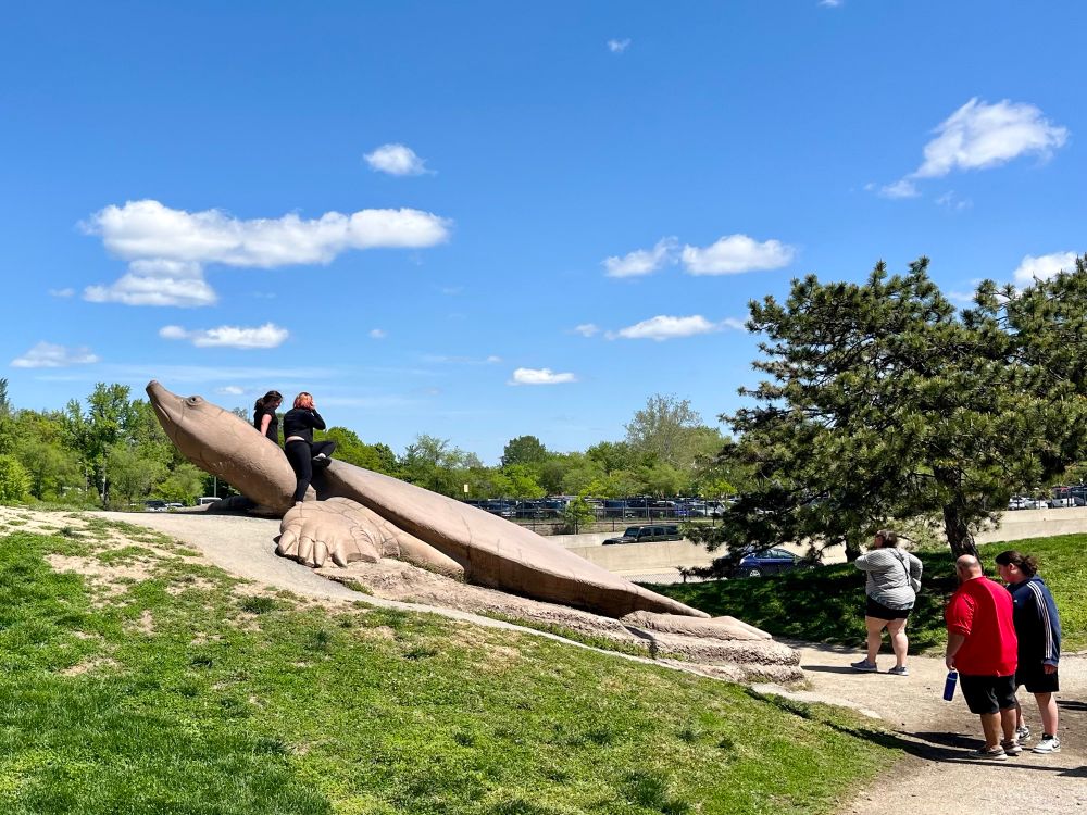 Giant soft-shelled turtle sculpture/slide at the Forest Park “Turtle Playground.” I believe it’s part of the St. Louis Zoo, which is right on the other side of the highway. Anyways, the turtle is about 3-4 feet tall and maybe 20-30 feet long and is on the side of a hill so kids can slide down its back. 